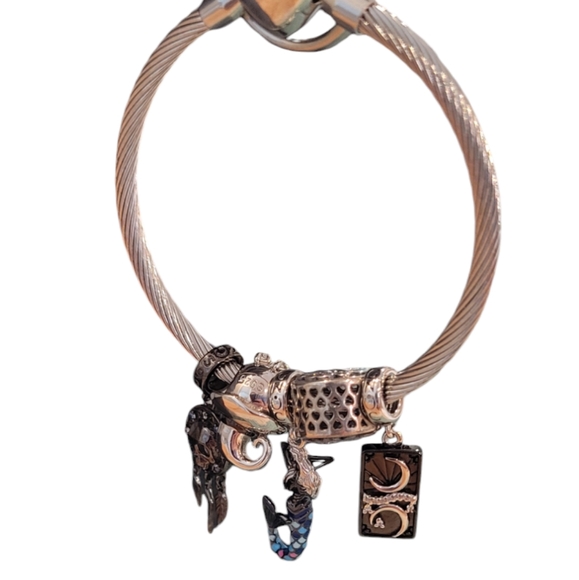 Gnoce Silver Stainless Steel Versatile Charm Holder Purse Key Chain Belt Loop - Picture 9 of 13